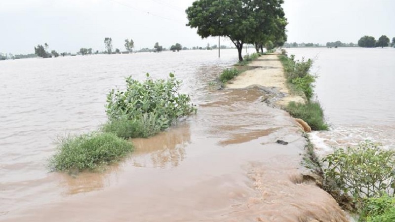 https://newsfirstlive.com/wp-content/uploads/2023/07/Punjab-Flood.jpg